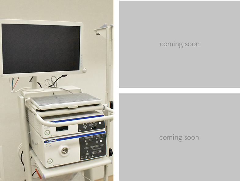 膀胱内視鏡 OLYMPUS 膀胱腎盂ビデオスコープ